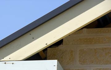 Bryn Mawr fascia repairs