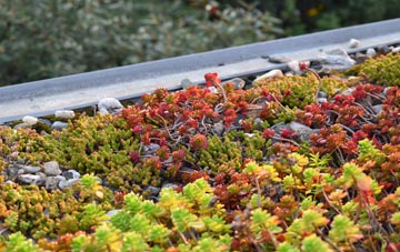 the cost of Bryn Mawr green roof installation
