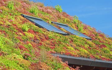 Bryn Mawr living roof systems