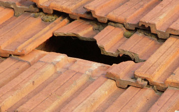 roof repair Bryn Mawr